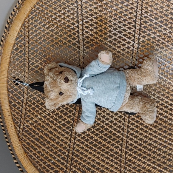 💚HERRINGTON TEDDY BEAR BACKPACK - Picture 1 of 11